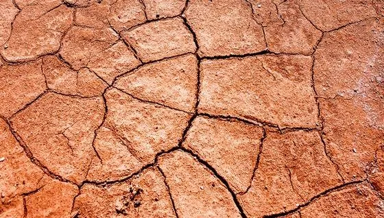 Soil Classification Image